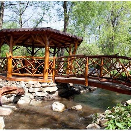 Pensiunea Pentru Tine Prietene Arcani Екстериор снимка
