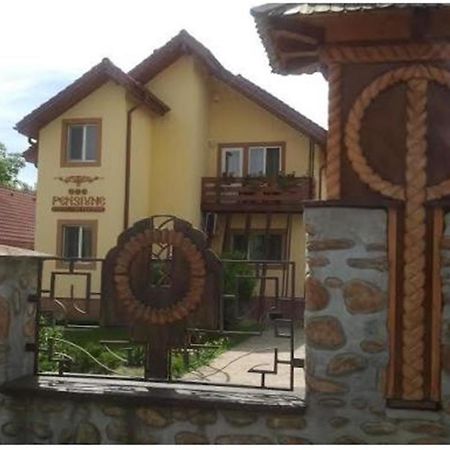 Pensiunea Pentru Tine Prietene Arcani Стая снимка