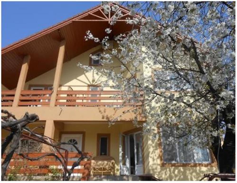 Pensiunea Pentru Tine Prietene Arcani Стая снимка