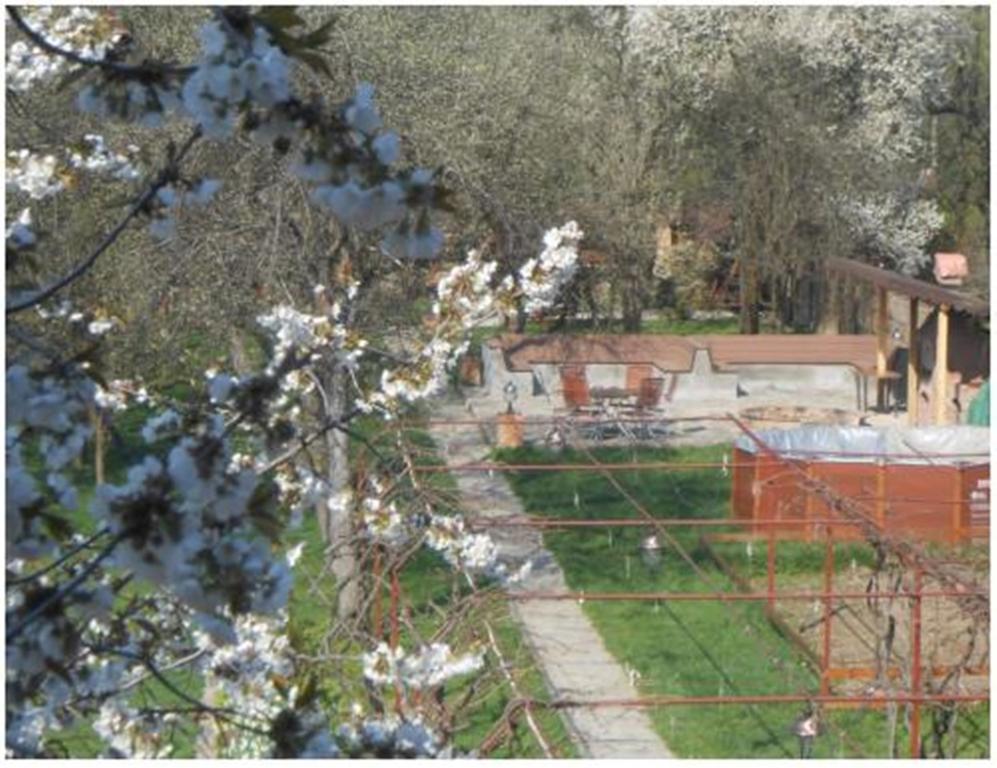 Pensiunea Pentru Tine Prietene Arcani Стая снимка